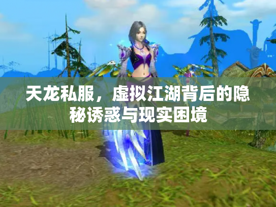 天龙私服，虚拟江湖背后的隐秘诱惑与现实困境