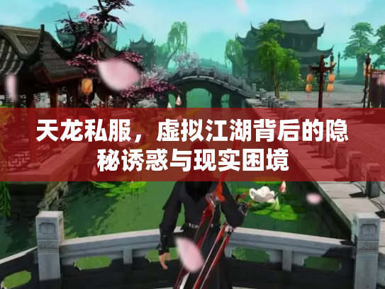 天龙私服，虚拟江湖背后的隐秘诱惑与现实困境