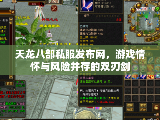 天龙八部私服发布网，游戏情怀与风险并存的双刃剑