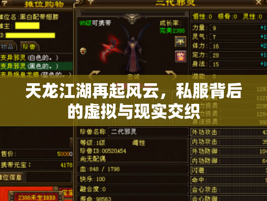 天龙江湖再起风云，私服背后的虚拟与现实交织