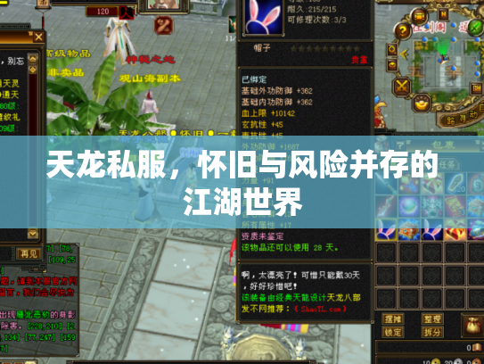 天龙私服，怀旧与风险并存的江湖世界