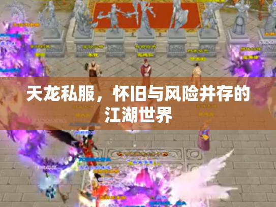 天龙私服，怀旧与风险并存的江湖世界
