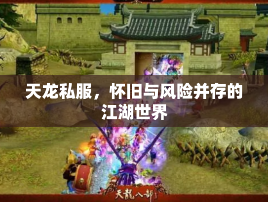 天龙私服，怀旧与风险并存的江湖世界