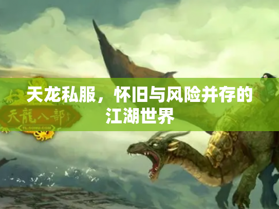 天龙私服，怀旧与风险并存的江湖世界