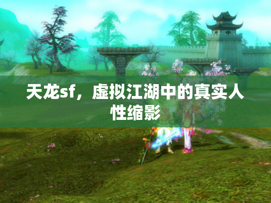天龙sf，虚拟江湖中的真实人性缩影
