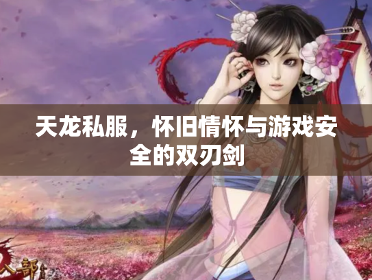 天龙私服，怀旧情怀与游戏安全的双刃剑