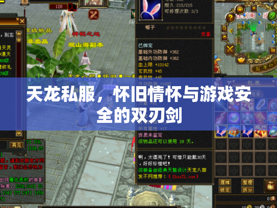 天龙私服，怀旧情怀与游戏安全的双刃剑