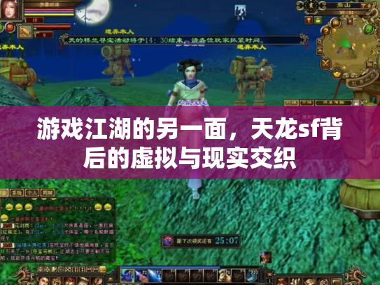 游戏江湖的另一面，天龙sf背后的虚拟与现实交织