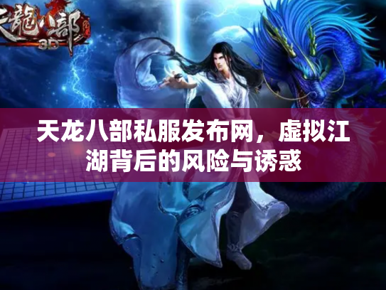 天龙八部私服发布网，虚拟江湖背后的风险与诱惑