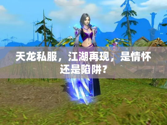 天龙私服，江湖再现，是情怀还是陷阱？