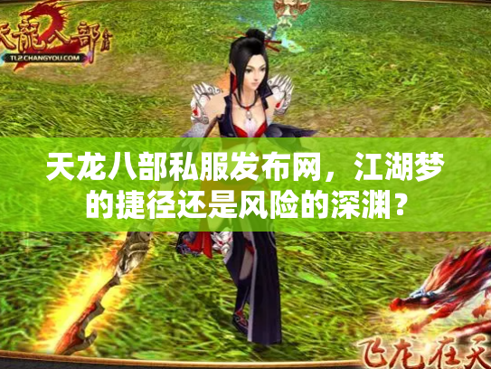 天龙八部私服发布网，江湖梦的捷径还是风险的深渊？
