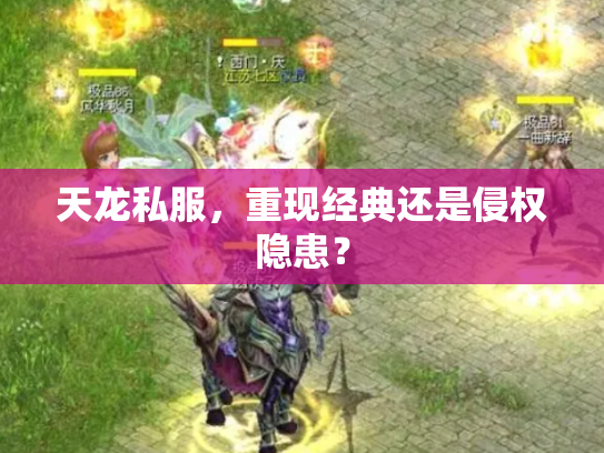 天龙私服，重现经典还是侵权隐患？