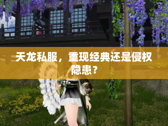 天龙私服，重现经典还是侵权隐患？