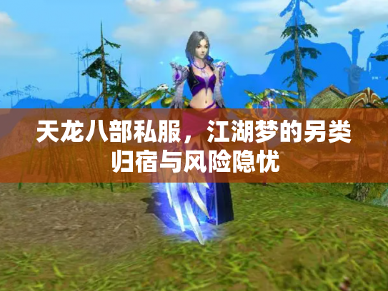 天龙八部私服，江湖梦的另类归宿与风险隐忧