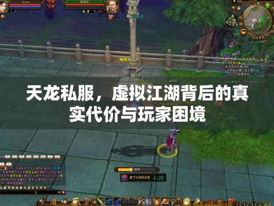 天龙私服，虚拟江湖背后的真实代价与玩家困境