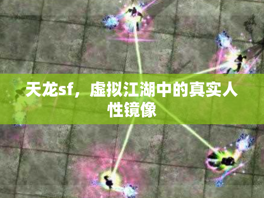 天龙sf，虚拟江湖中的真实人性镜像