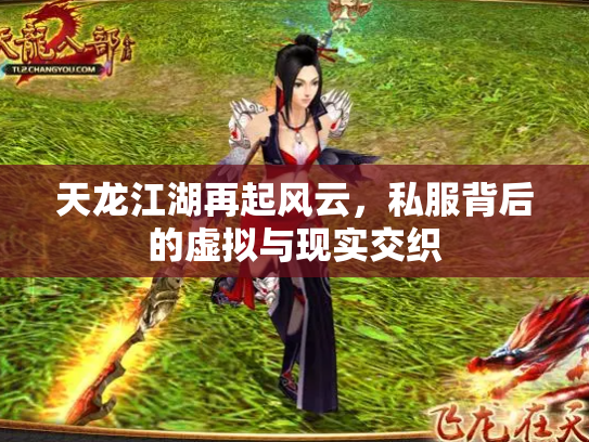 天龙江湖再起风云，私服背后的虚拟与现实交织