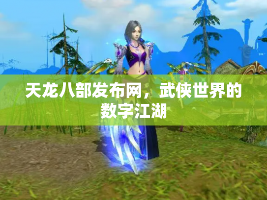天龙八部发布网，武侠世界的数字江湖