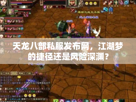 天龙八部私服发布网，江湖梦的捷径还是风险深渊？