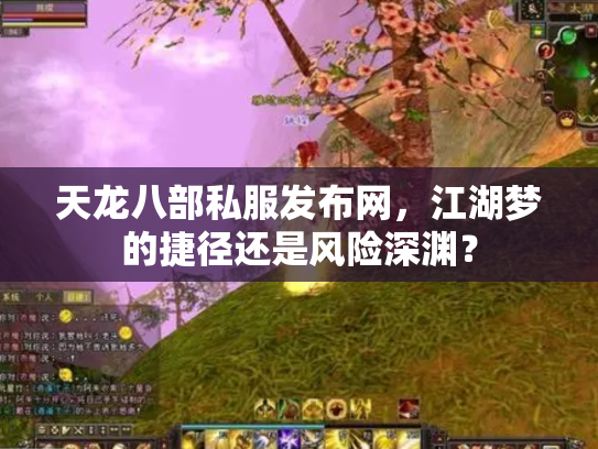 天龙八部私服发布网，江湖梦的捷径还是风险深渊？