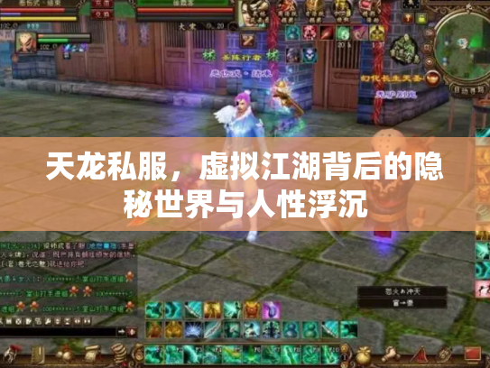 天龙私服，虚拟江湖背后的隐秘世界与人性浮沉