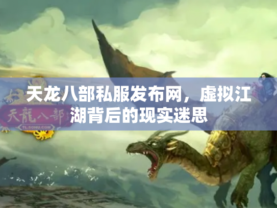 天龙八部私服发布网，虚拟江湖背后的现实迷思