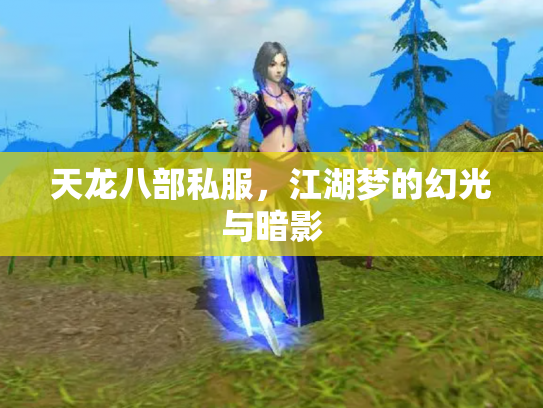 天龙八部私服，江湖梦的幻光与暗影