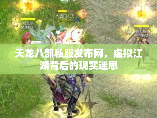 天龙八部私服发布网，虚拟江湖背后的现实迷思
