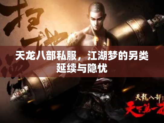 天龙八部私服，江湖梦的另类延续与隐忧