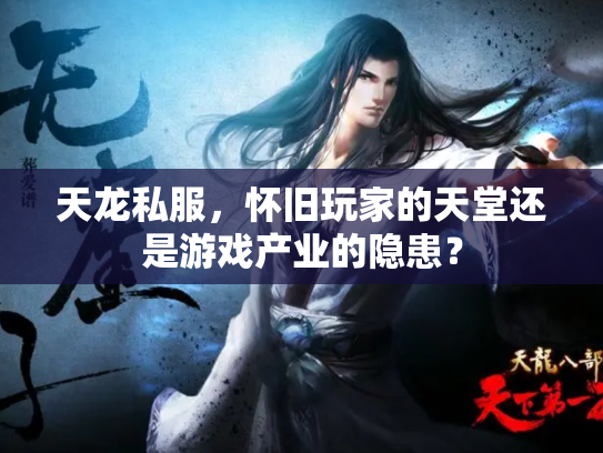 天龙私服，怀旧玩家的天堂还是游戏产业的隐患？