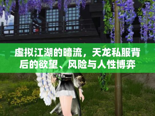虚拟江湖的暗流，天龙私服背后的欲望、风险与人性博弈