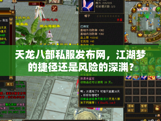 天龙八部私服发布网，江湖梦的捷径还是风险的深渊？