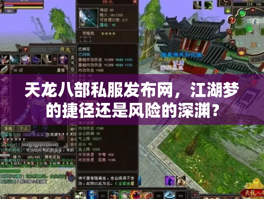 天龙八部私服发布网，江湖梦的捷径还是风险的深渊？