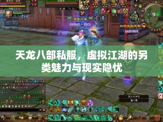 天龙八部私服，虚拟江湖的另类魅力与现实隐忧