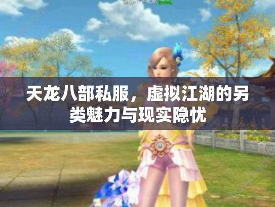 天龙八部私服，虚拟江湖的另类魅力与现实隐忧