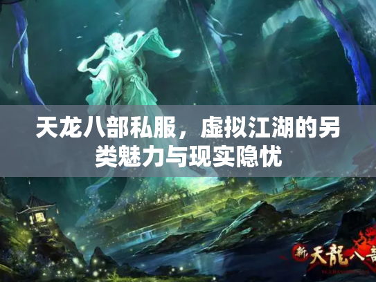 天龙八部私服，虚拟江湖的另类魅力与现实隐忧