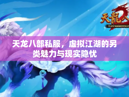 天龙八部私服，虚拟江湖的另类魅力与现实隐忧
