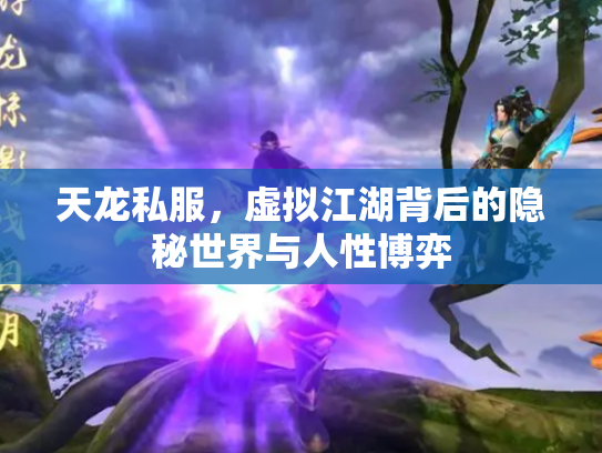 天龙私服，虚拟江湖背后的隐秘世界与人性博弈