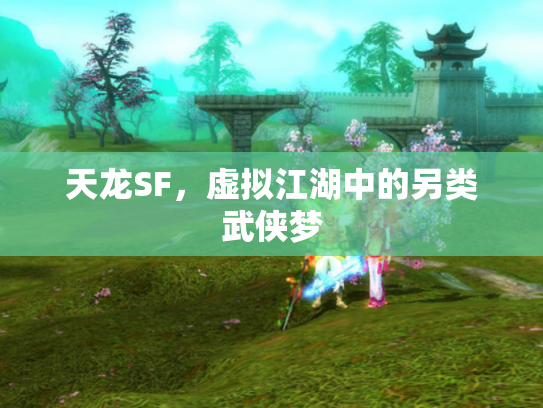 天龙SF，虚拟江湖中的另类武侠梦