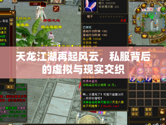 天龙江湖再起风云，私服背后的虚拟与现实交织