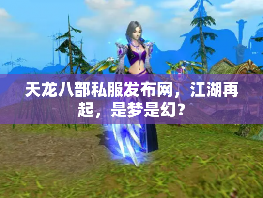 天龙八部私服发布网，江湖再起，是梦是幻？