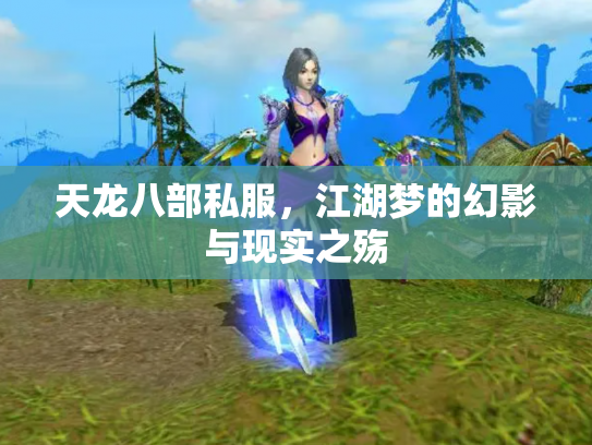 天龙八部私服，江湖梦的幻影与现实之殇