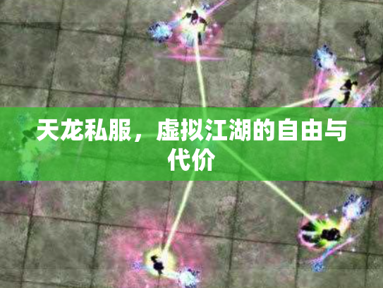 天龙私服，虚拟江湖的自由与代价
