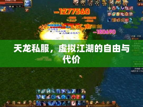 天龙私服，虚拟江湖的自由与代价