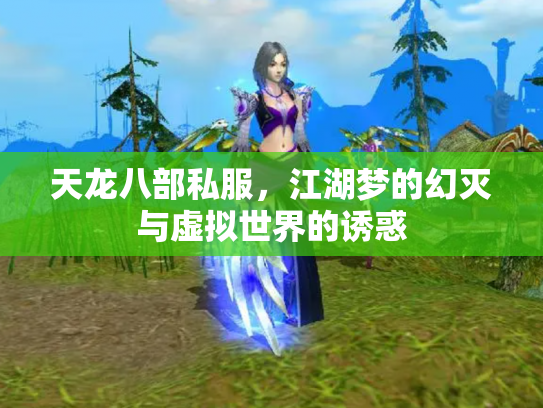 天龙八部私服，江湖梦的幻灭与虚拟世界的诱惑