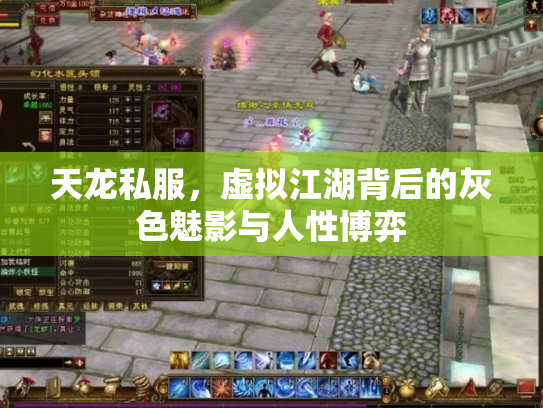 天龙私服，虚拟江湖背后的灰色魅影与人性博弈