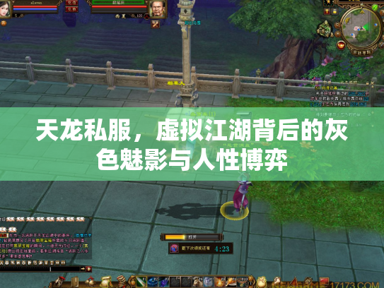 天龙私服，虚拟江湖背后的灰色魅影与人性博弈