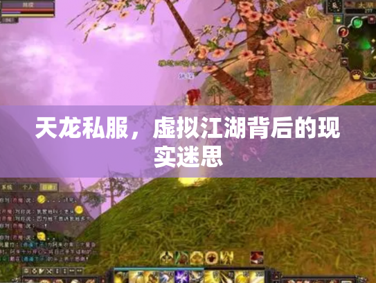 天龙私服，虚拟江湖背后的现实迷思