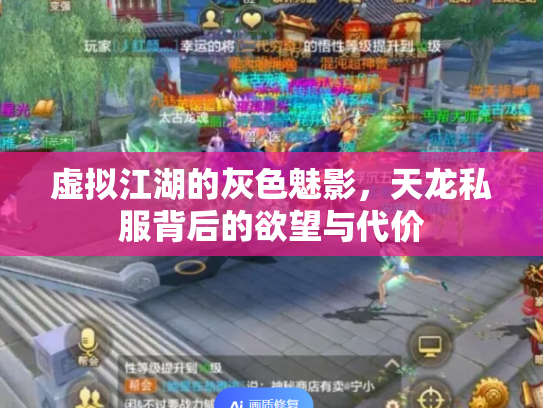 虚拟江湖的灰色魅影，天龙私服背后的欲望与代价