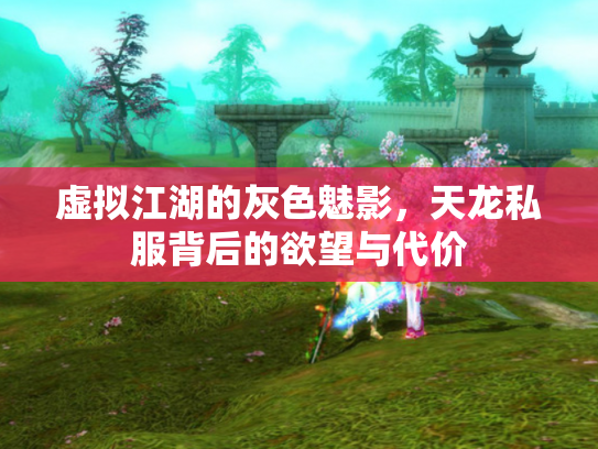 虚拟江湖的灰色魅影，天龙私服背后的欲望与代价